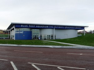 bluereef-akvarium-newcastle