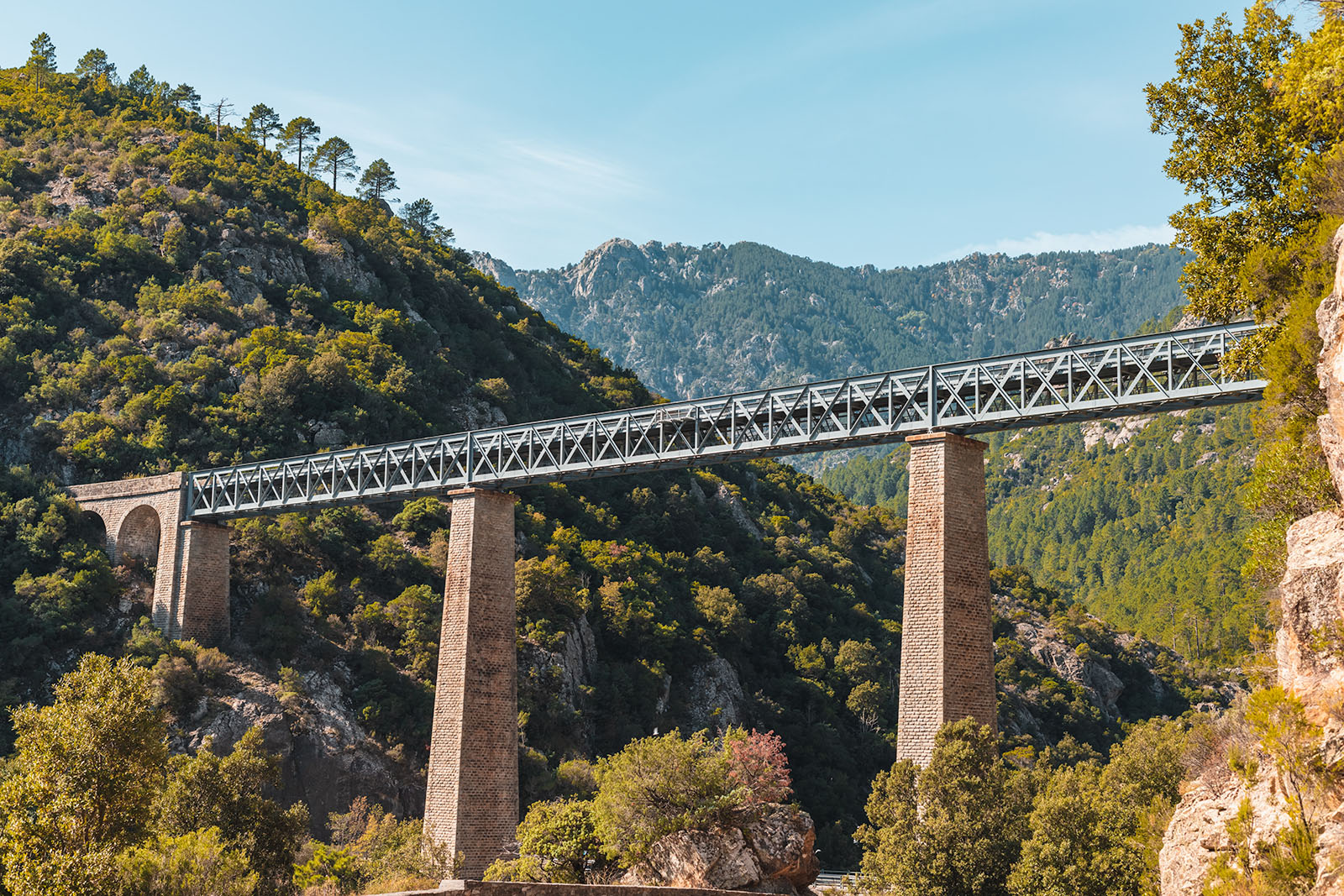 Jernbane på Korsika